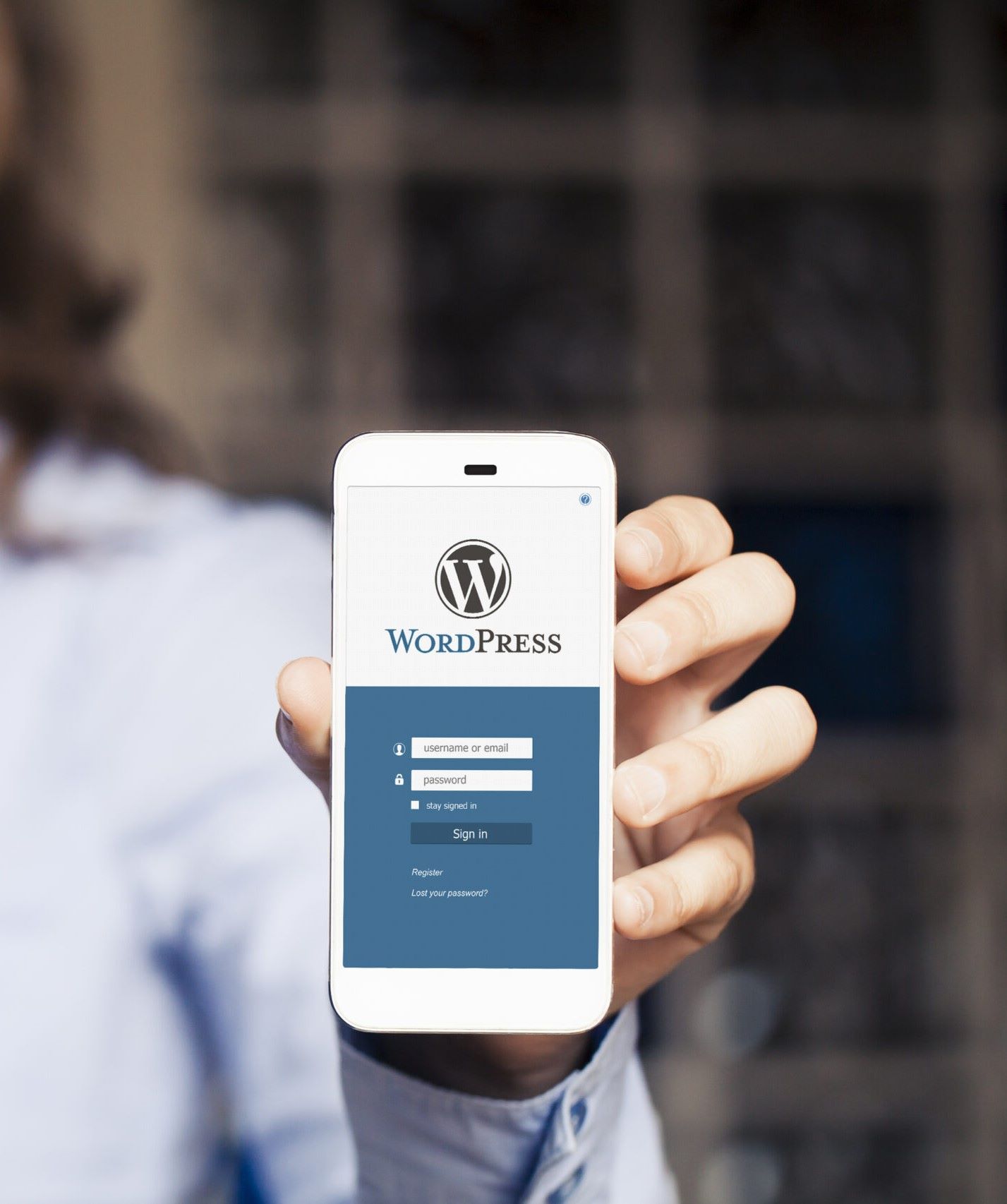 What Should You Look for in a WordPress Theme