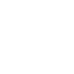 1700+ IT firm