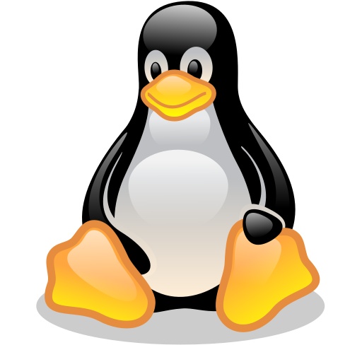 Linux Basics