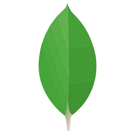MongoDB Basics