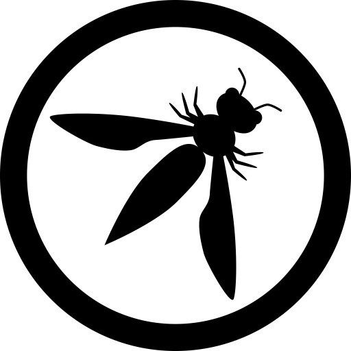 OWASP Top 10